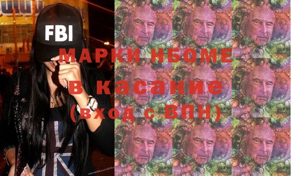 гидра Вяземский